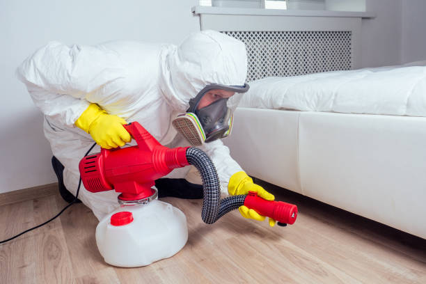 Best Wasp Removal Services  in Somerset, PA