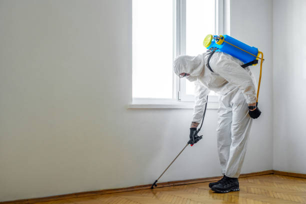 Pest Control for Restaurants in Somerset, PA