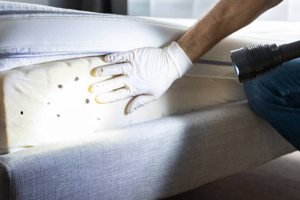 Best Pest Prevention Services  in Somerset, PA