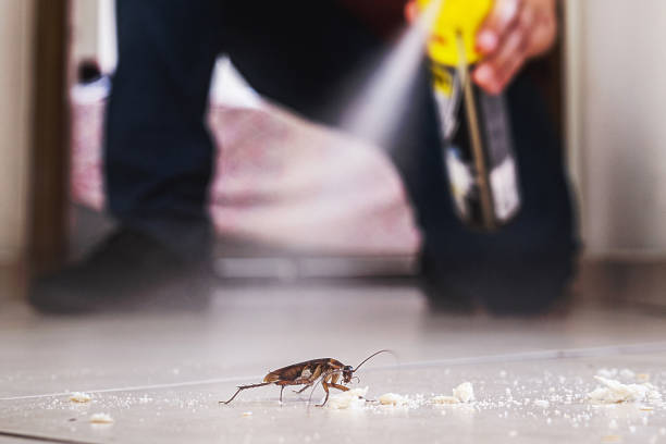 Best Residential Pest Control  in Somerset, PA